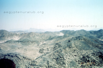 Blick über die Hamada = Steinwüste bei einem unserer Ausflüge in Ägypten.