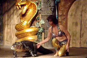 Show im Hotel, die schöne und die Bestie, eine hübsche Tänzerin mit ihrem lebendigen Krokodil.