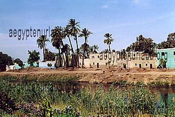 Ein Bewässerungskanal in Luxor