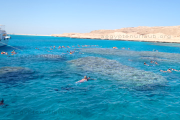 Touristen beim Schnorcheln an einem Riff bei Hurghada im Roten Meer in Ägypten