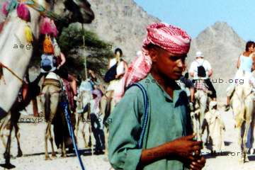 Touristen bei einer Wüsten Safari auf dem Rücken der Wüstenschiffe, den Kamelen in Ägypten.